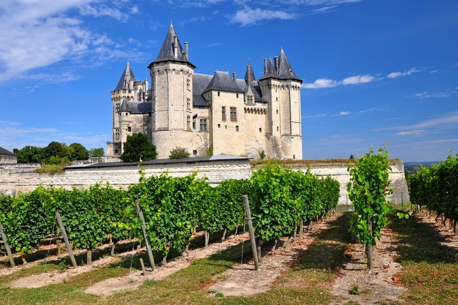 Zamek w Saumur (fot. Lesław Szczubiała)