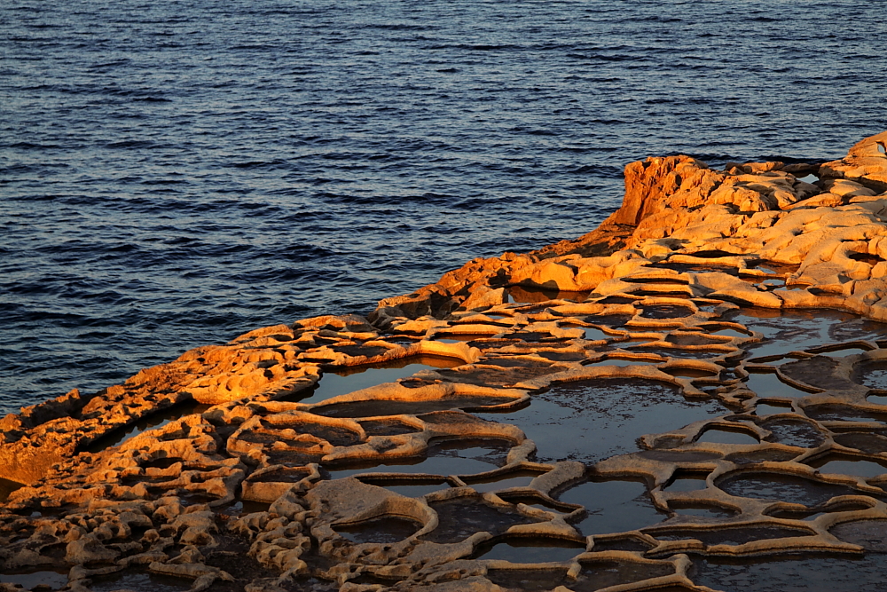 Solniska na Gozo (fot. S.Adamczak, okfoto.pl)