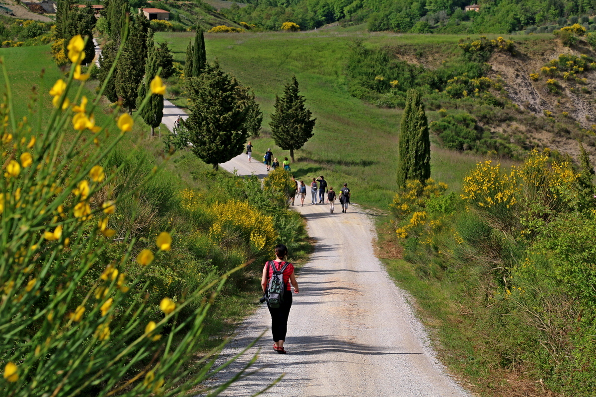 Dolina d'Orcia - klasyka Toskanii, (fot. T. Liptak)