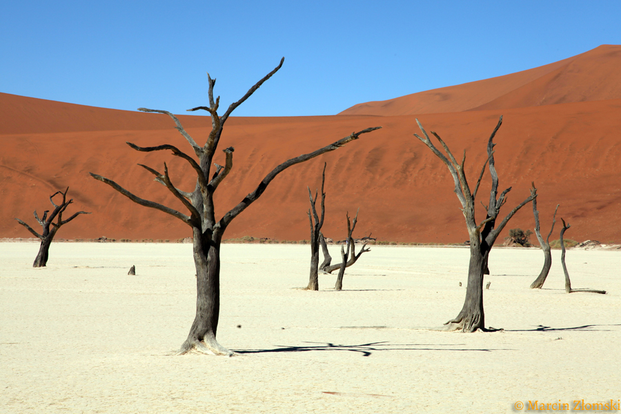 Pustynia Namib (Marcin Złomski)