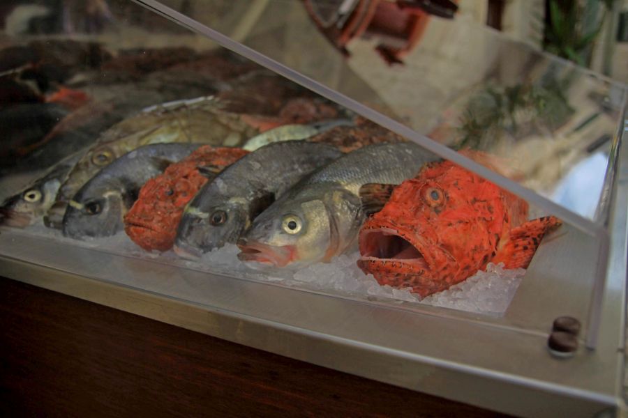 Dalmatyńska kuchnia słynie ze znakomitych ryb… (fot. Paweł Klimek)