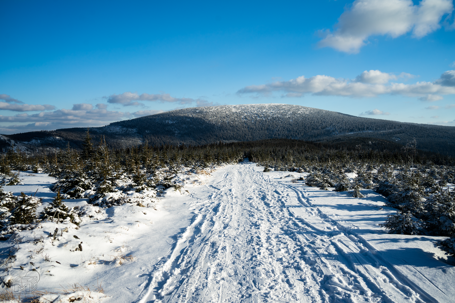 Śnieżne przygody na Śnieżniku - zima 2021 (fot. Maciej Chrzanowski)