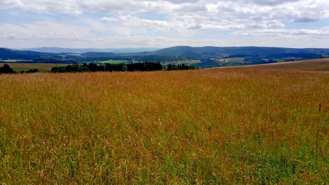 Krajobraz „Sawanny” w Górach Stołowych (fot. Paweł Klimek)