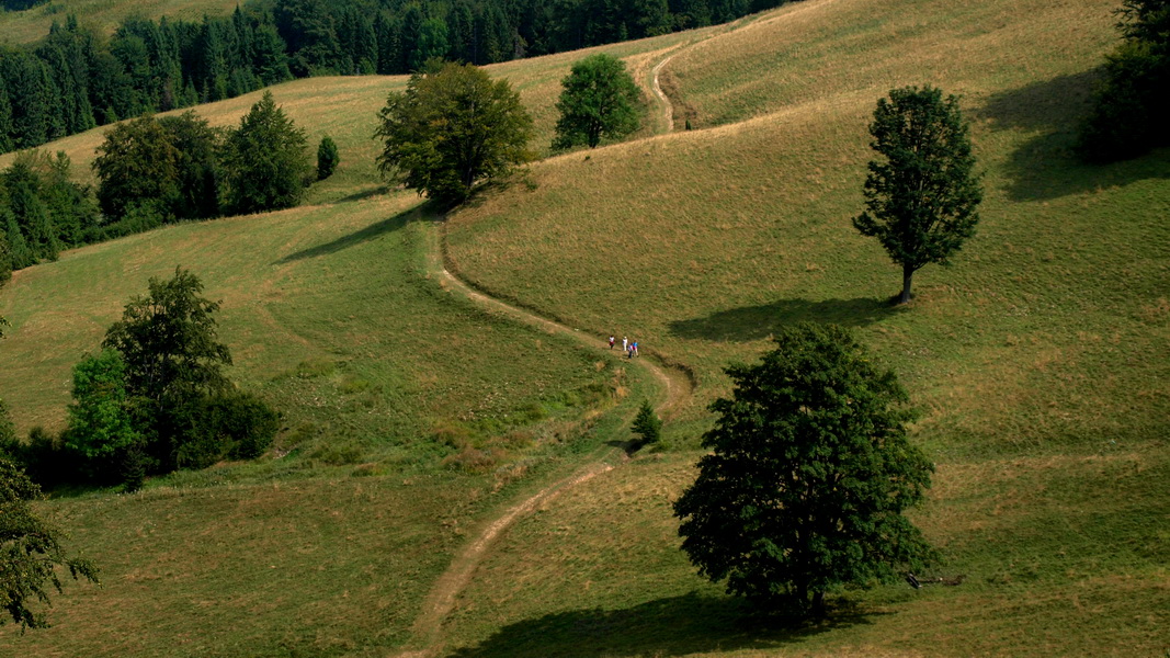 Wędrówka wśród traw w Małych Pieninach (fot. Paweł Klimek)
