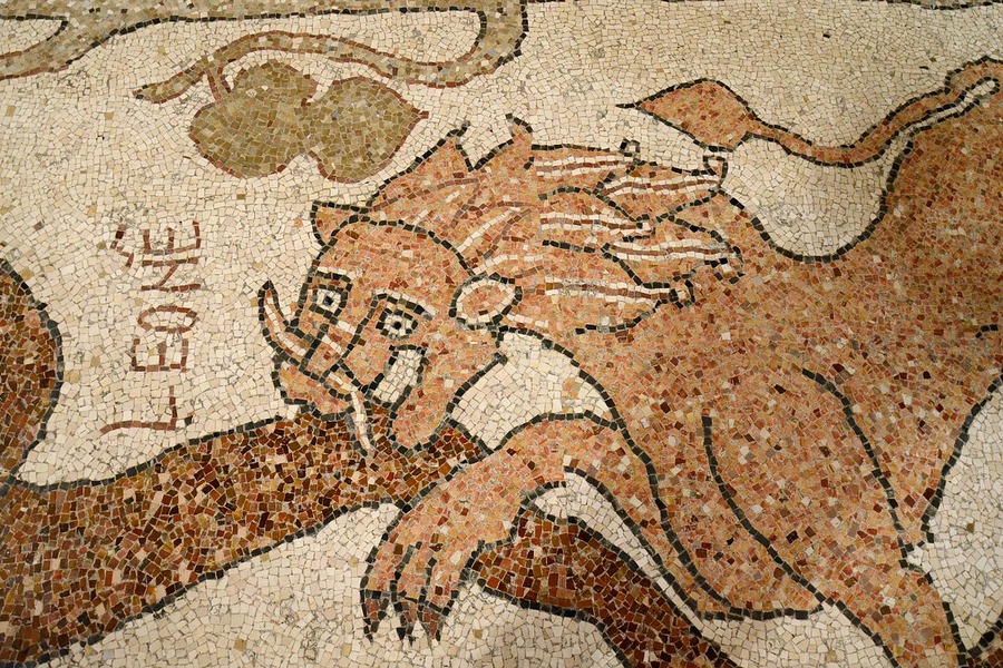 Fragment mozaiki z katedry w Otranto