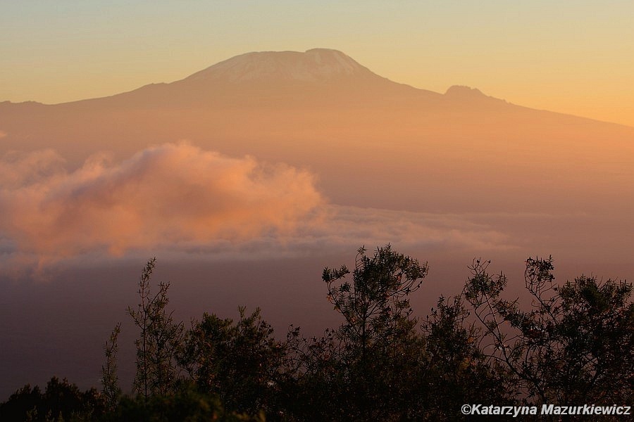 Widok na Kilimandżaro o wschodzie słońca z Miriakamba Hut