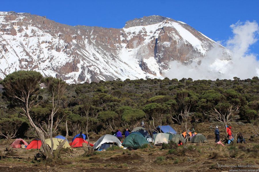 Obóz Shira z widokiem na Kilimandżaro