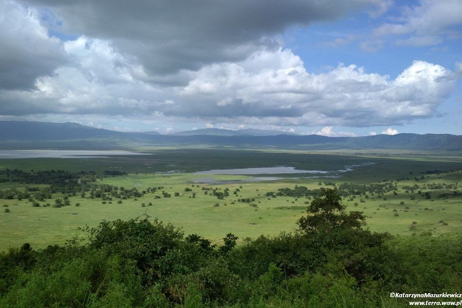 Rezerwat przyrody w kraterze Ngorongoro