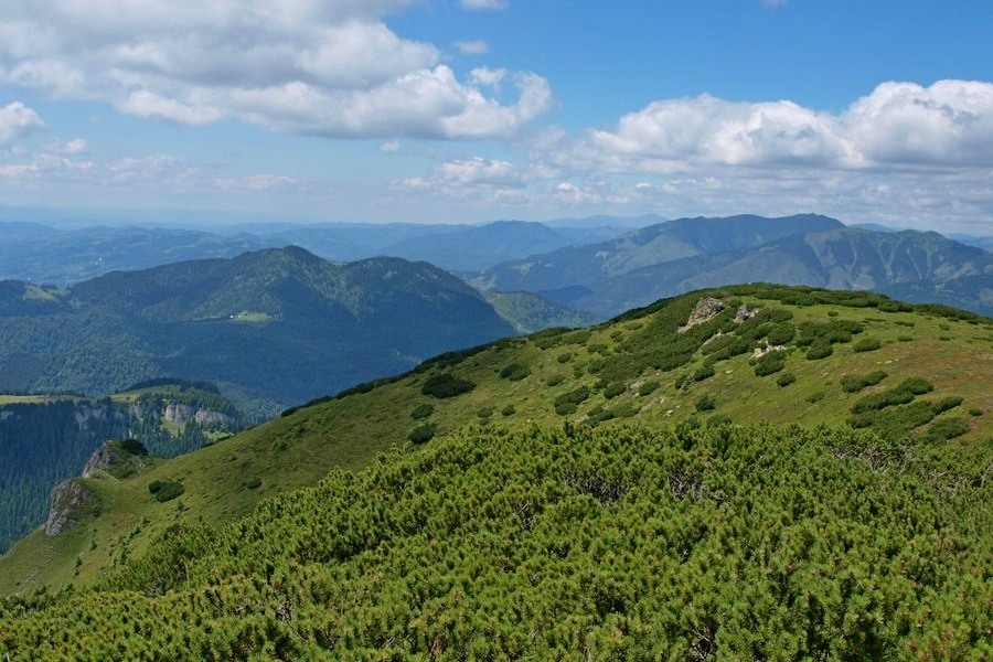 Widok ze szczytu Carcanula na Góry Marmaroskie (fot. Paweł Klimek)