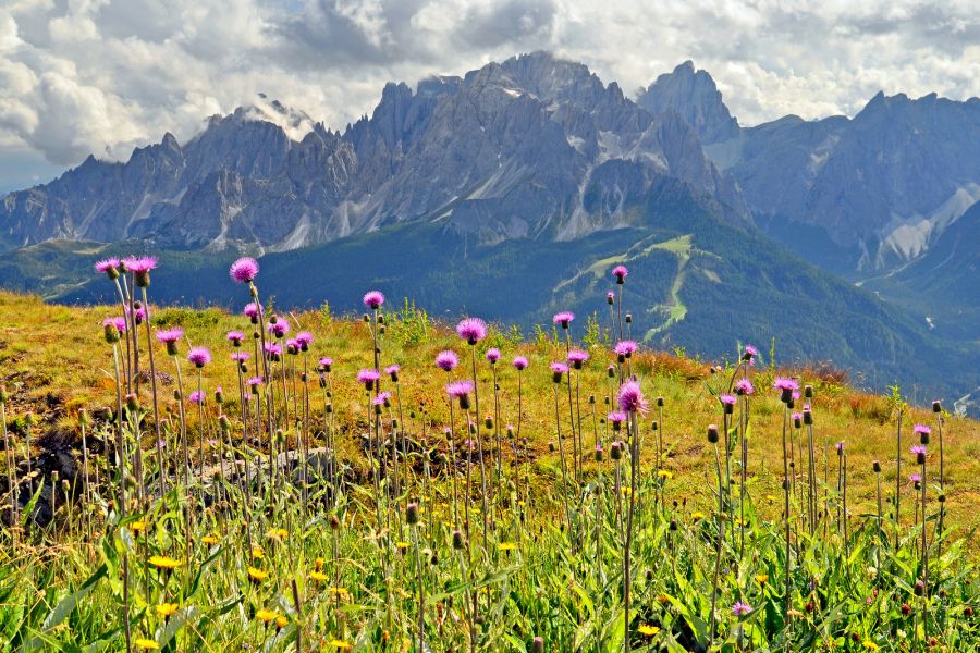 Z widokiem na Dolomity di Sesto (fot. Marek Danielak)