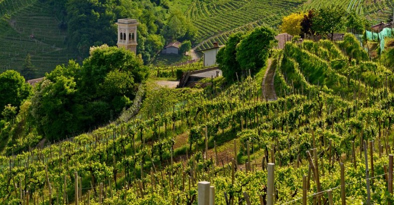Winnice Gardy i wzgórza Prosecco