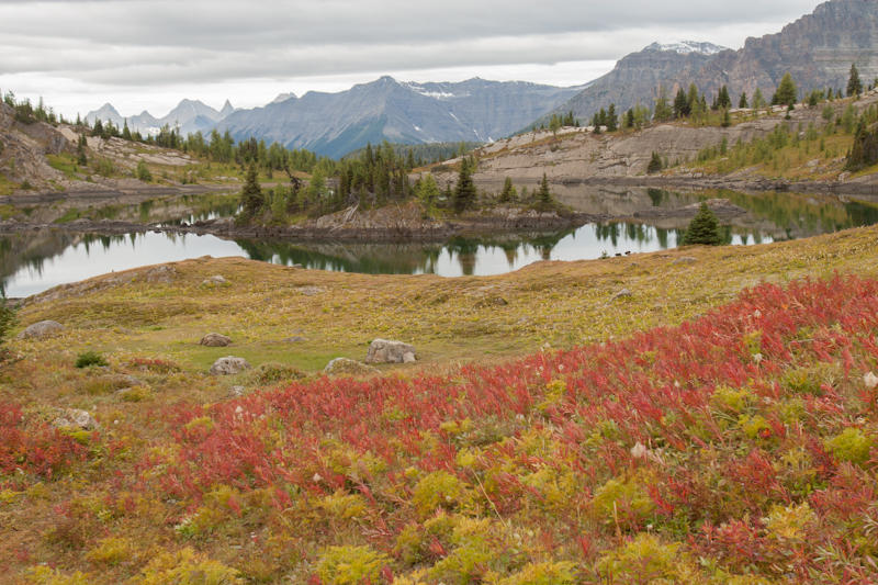 Sunshine Meadows (fot. Beata Muchowska)