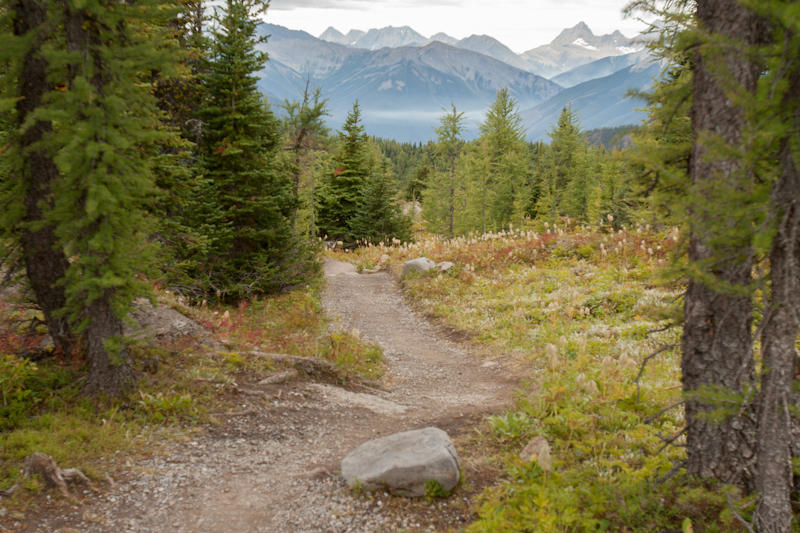 Sunshine Meadows (fot. Beata Muchowska)