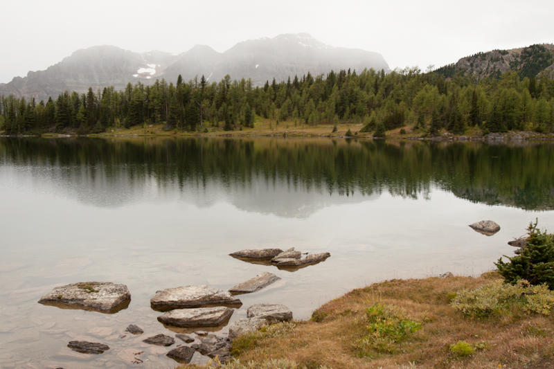 Sunshine Meadows (fot. Beata Muchowska)