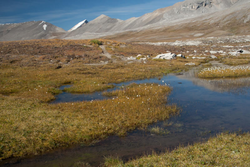 Willcox Pass (fot. Beata Muchowska)