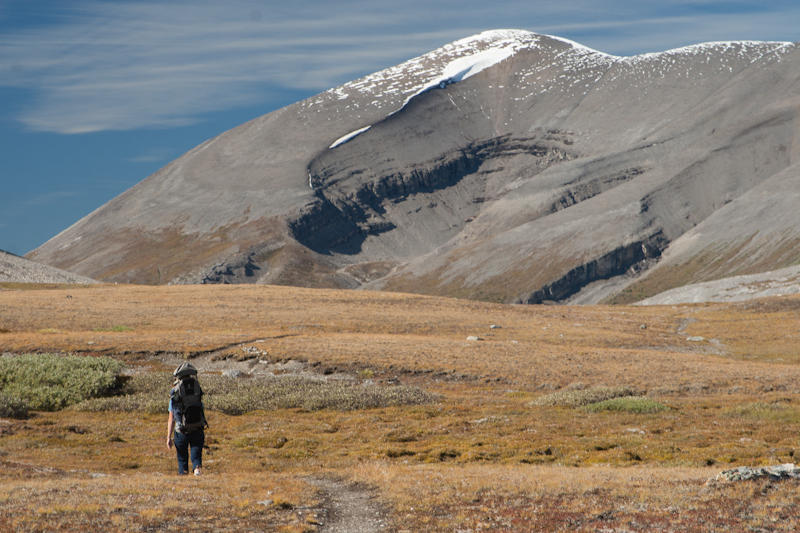 Willcox Pass (fot. Beata Muchowska)