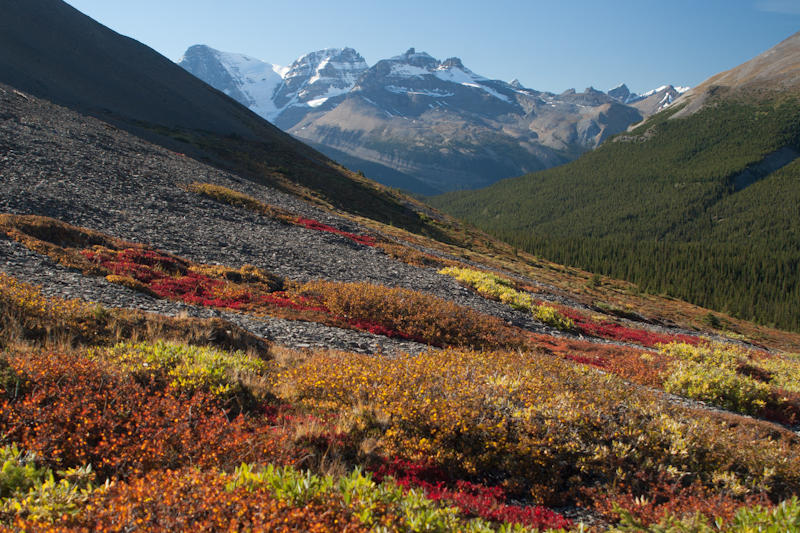 Góry Skaliste - Willcox Pass (fot. Beata Muchowska)