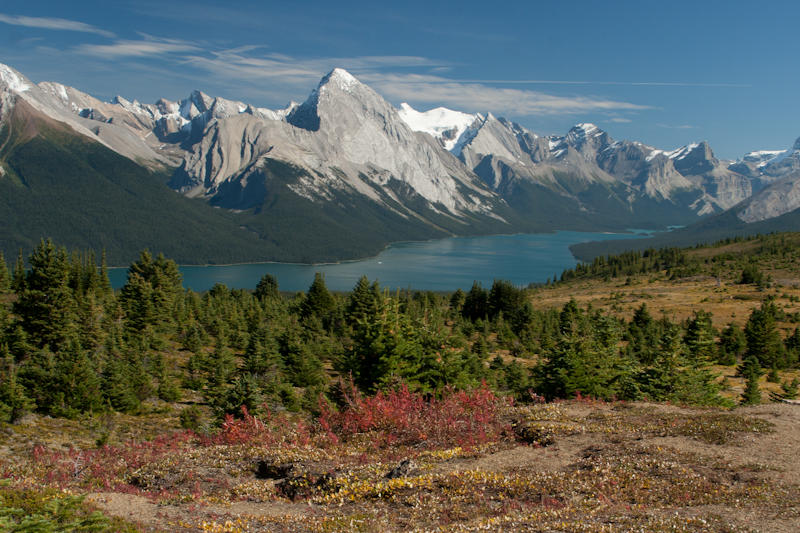 Widok z Bald Hills na Maligne Lake (fot. Beata Muchowska)