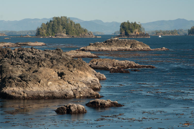 East Sooke Park (fot. Beata Muchowska)