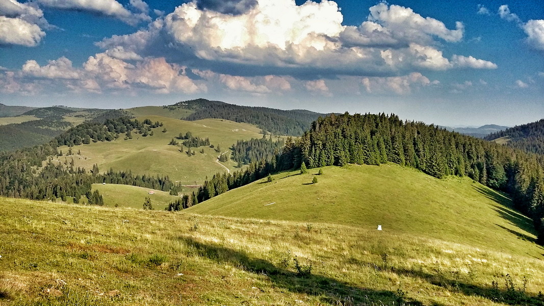 Krajobraz gór Apuseni (fot. Paweł Klimek)