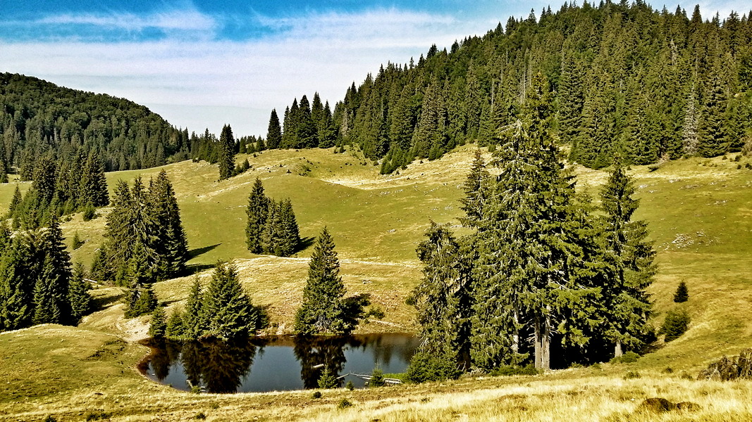 Na płaskowyżu Padiş (fot. Paweł Klimek)