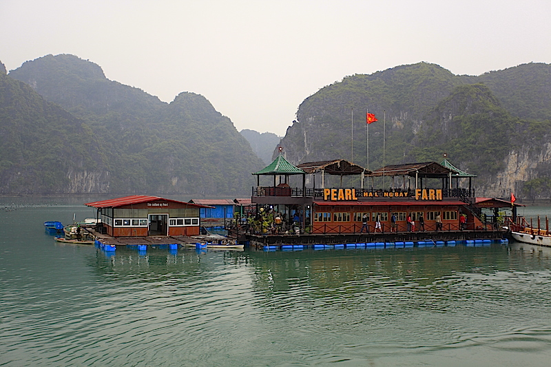 Zatoka Halong (fot.Przemek Kunysz)