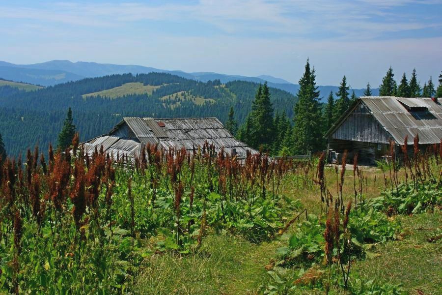 Huculskie koliby (fot. Rafał Bartosz)