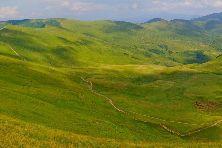 Połonina Świdowiec (fot. Piotr Jasiówka)