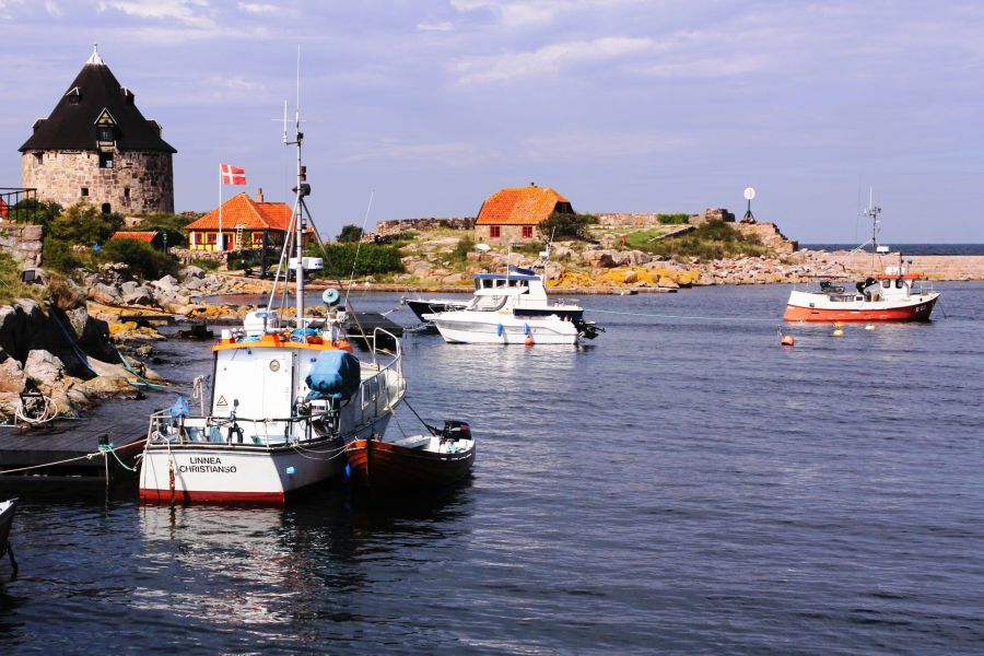 fot. Rafał Bartosz