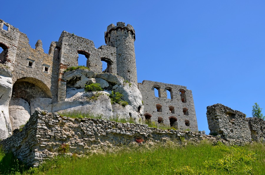 fot. R. Palonka