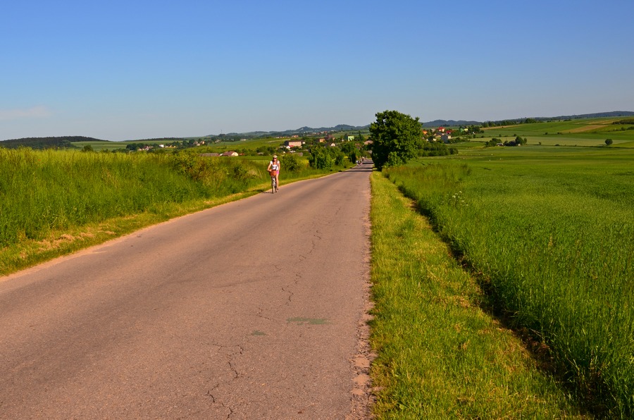 fot. R. Palonka