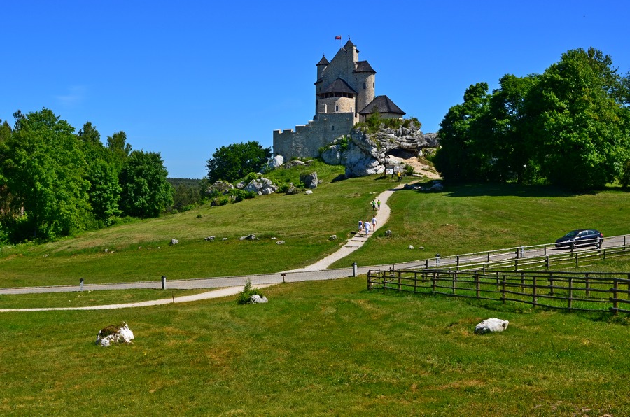 fot. R. Palonka