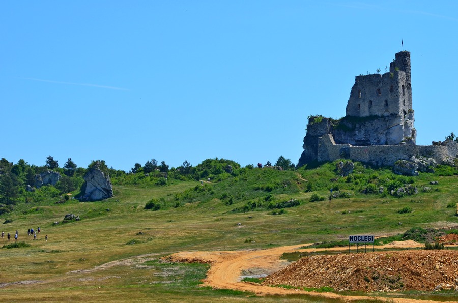 fot. R. Palonka