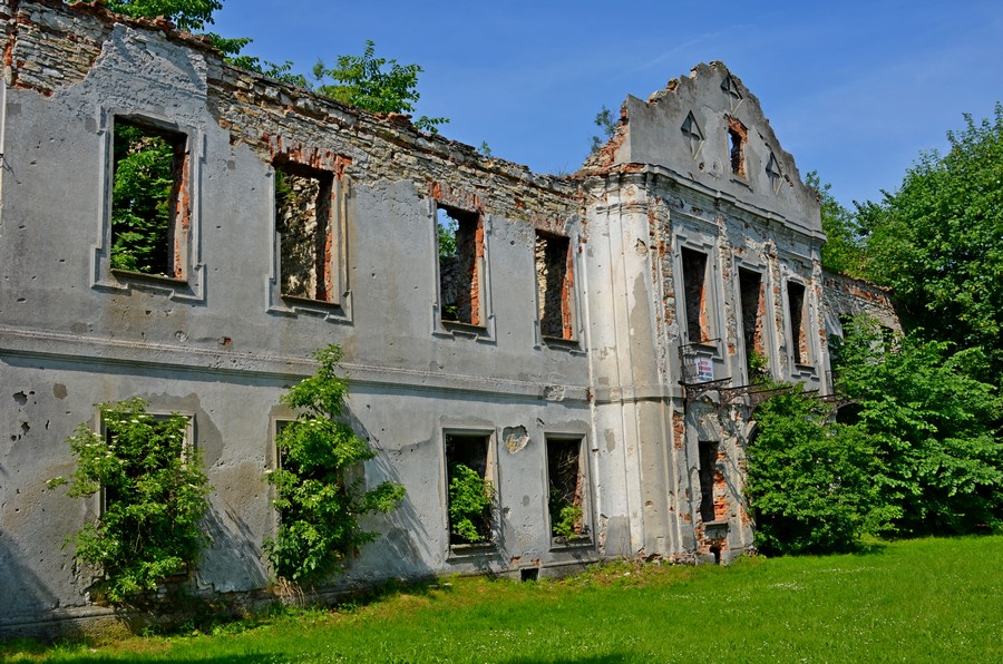 fot. R. Palonka