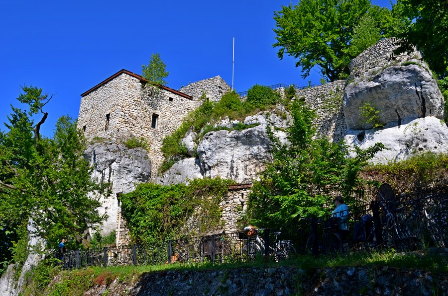fot. R. Palonka