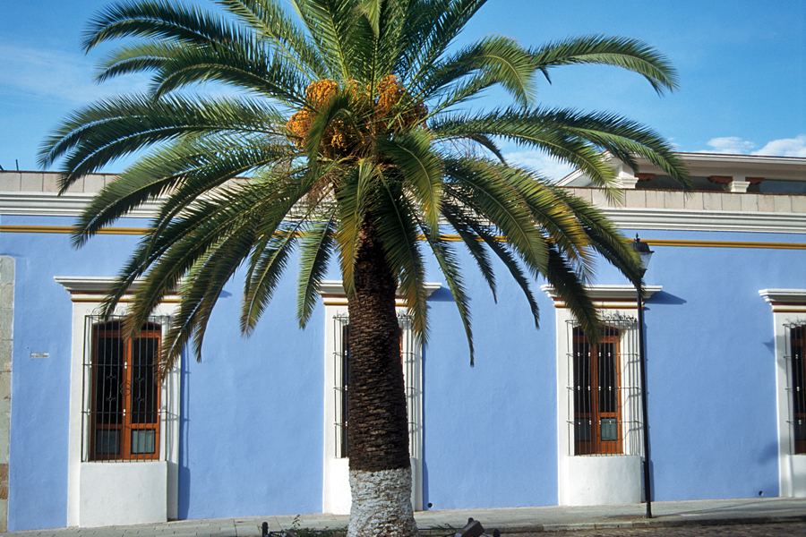San Cristóbal de las Casas, Meksyk