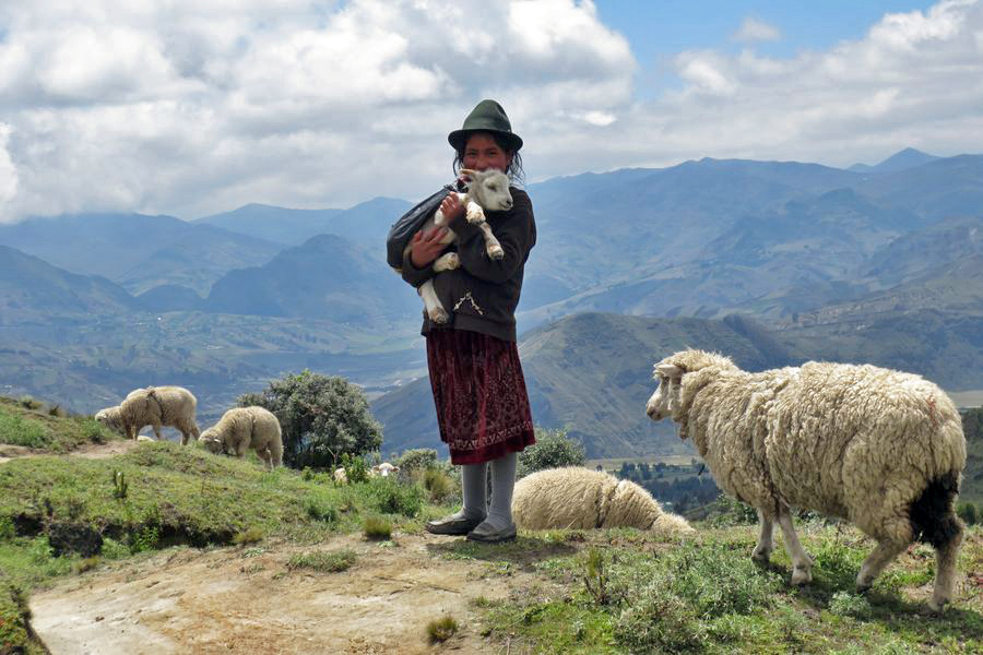Pasterka w okolicy laguny Quilotoa