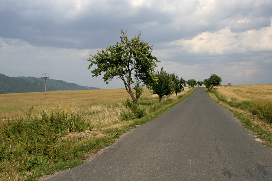 fot. Tomasz Liptak