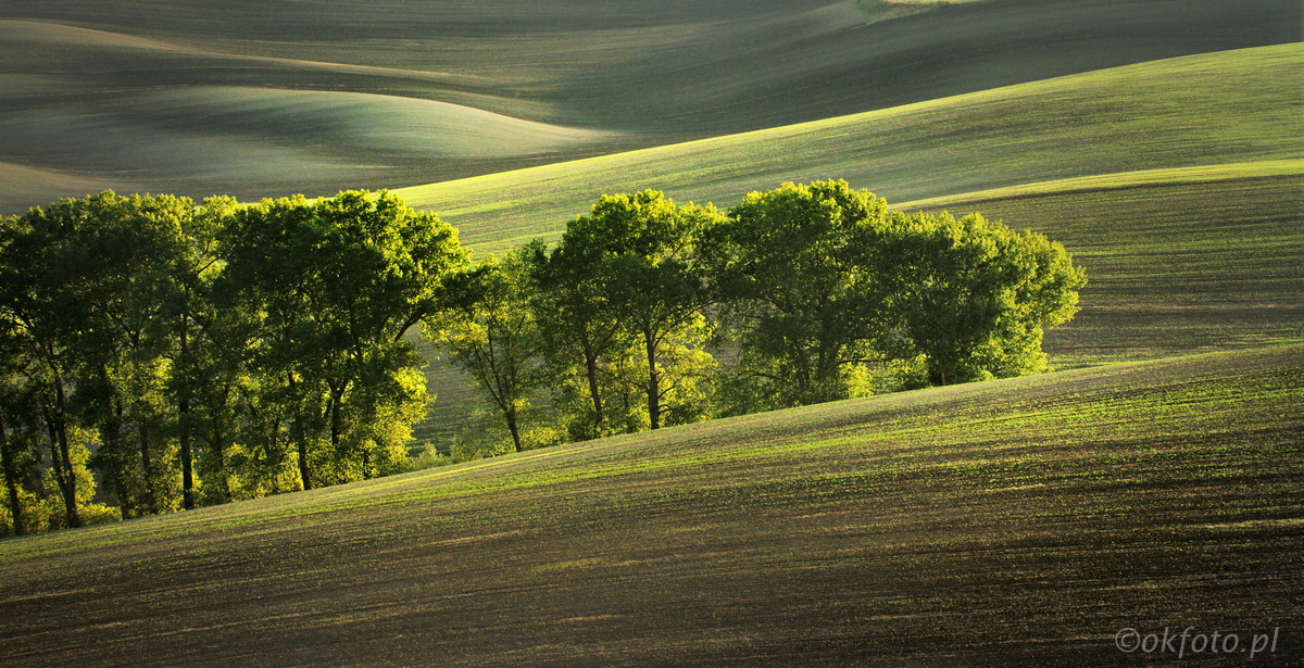Morawska Toskania, fot. S. Adamczak
