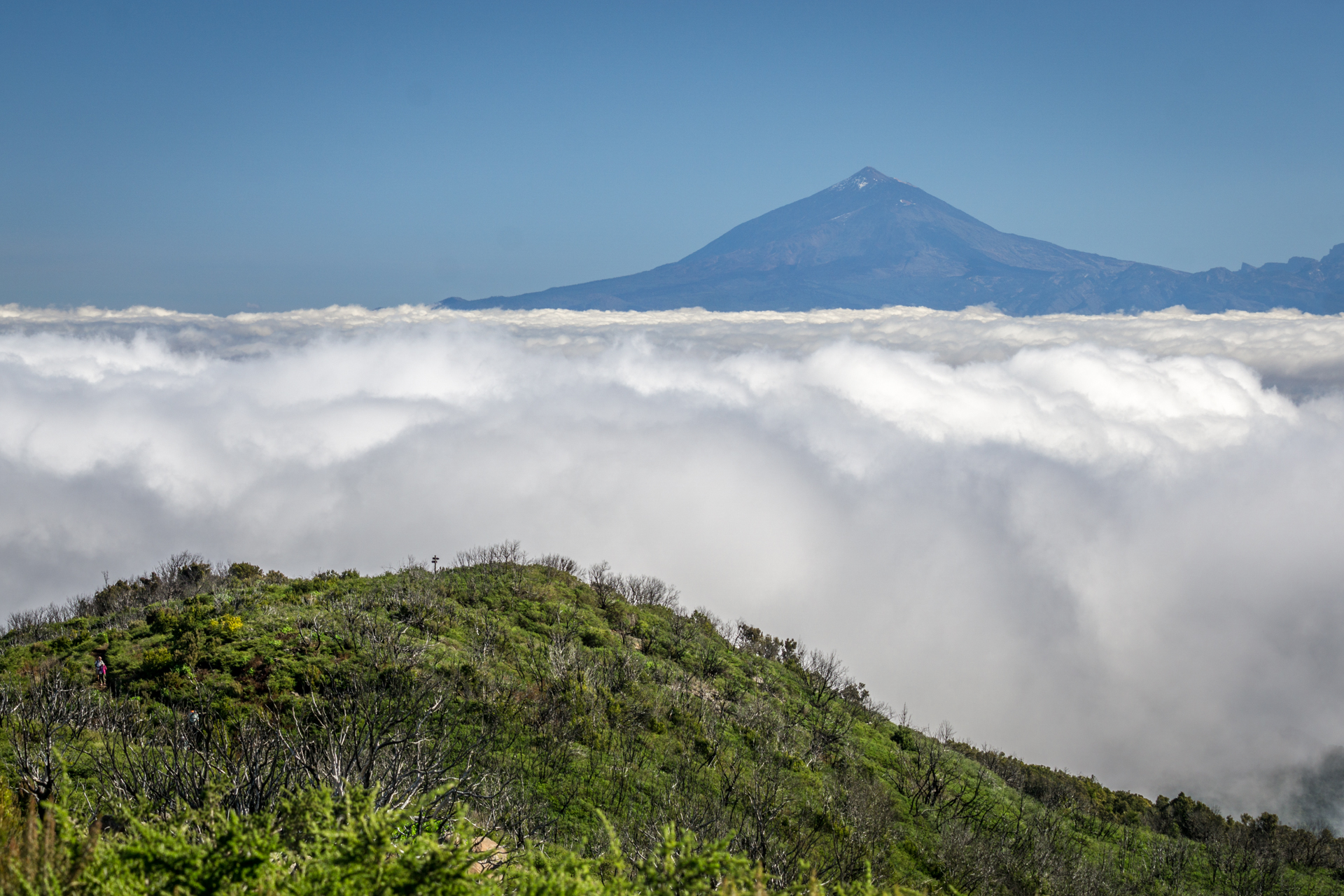 PN Garajonay z widokiem na El Teide (fot. Alicja Rapsiewicz)