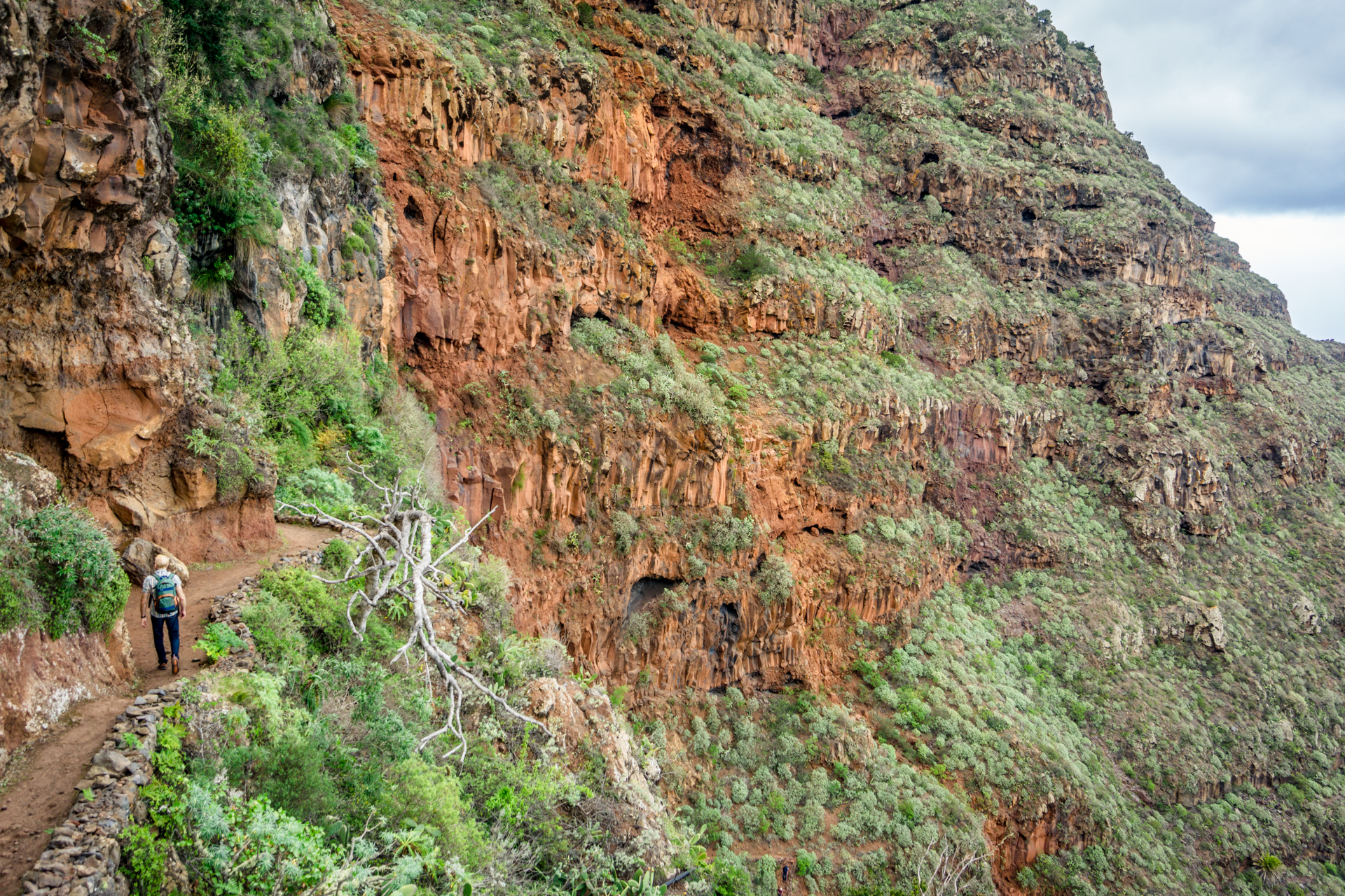 Szlak do Agulo - Gomera w kolorach zielono-czerwonych (fot. Alicja Rapsiewicz)