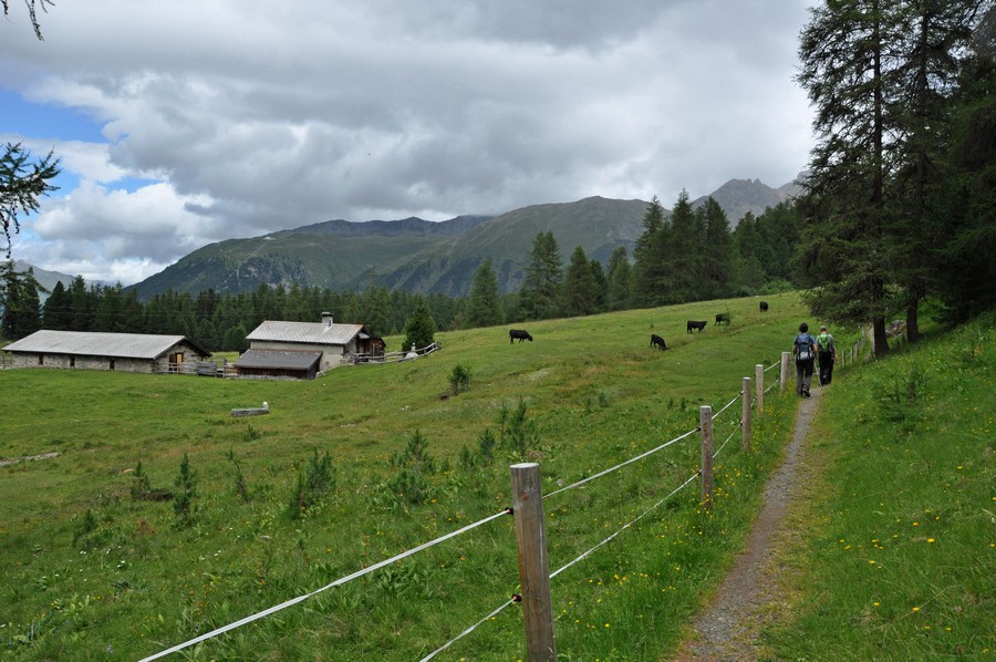Sielska okolica St. Moritz (fot. Ewa Styrkowiec)