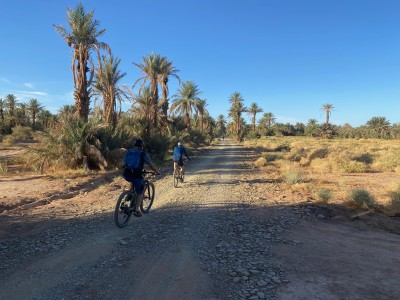 Oaza w dolinie rzeki Draa (fot. Kamil Wereszczyński)