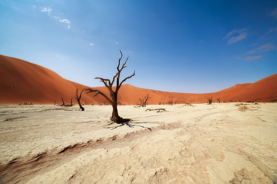 Pustynia Namib (Dominik Angstwurm /CC-SA)