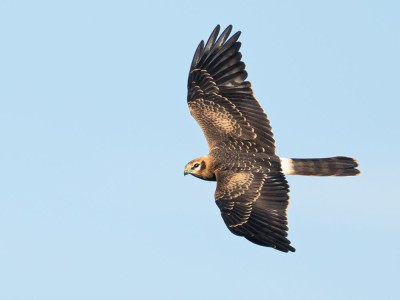 fot. Jan Rapczyński