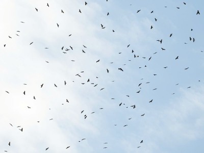 fot. Jan Rapczyński