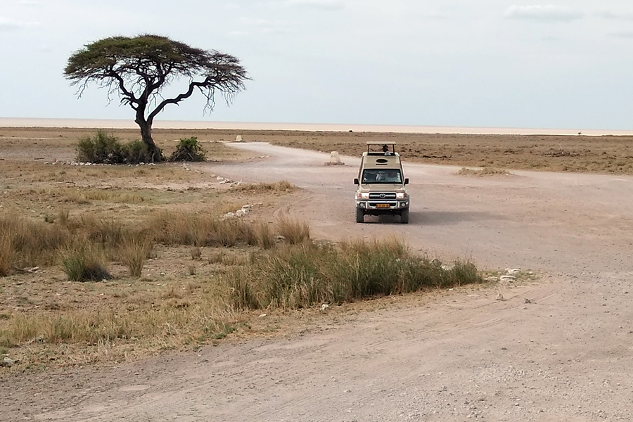 Safari w PN Etoszy (Namibia)