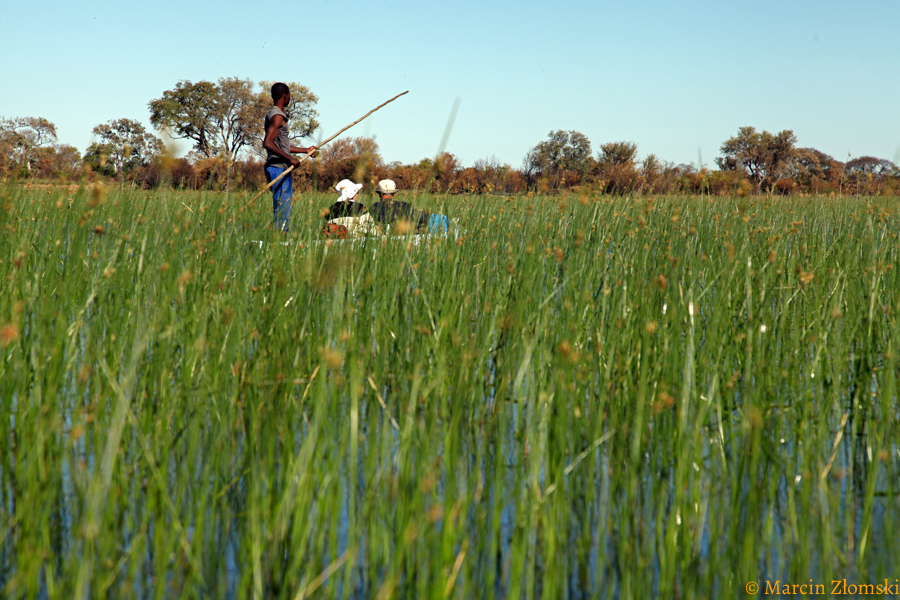 Delta Okawango (Botswana)