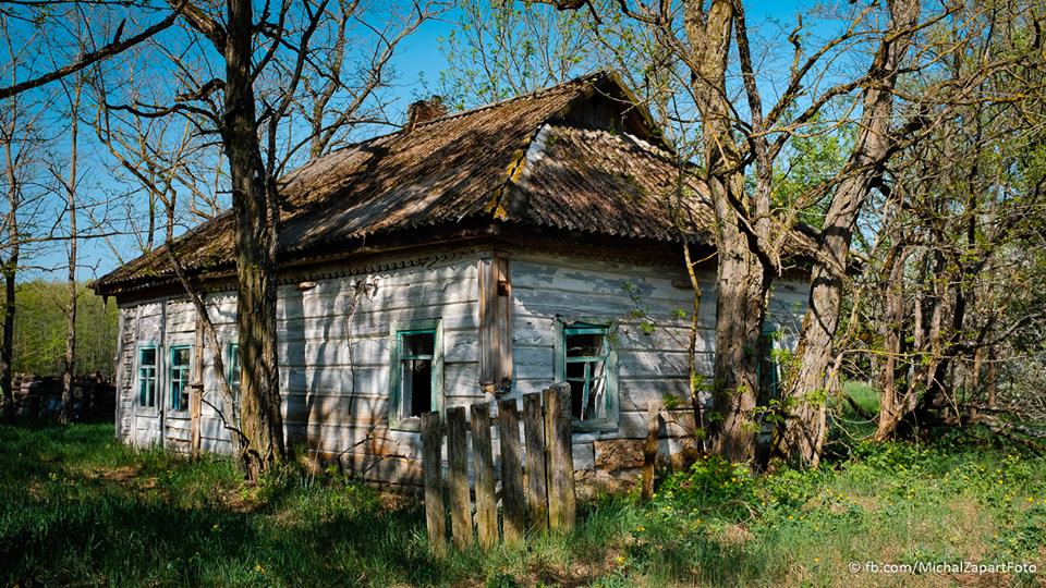 fot. Michał Zapart