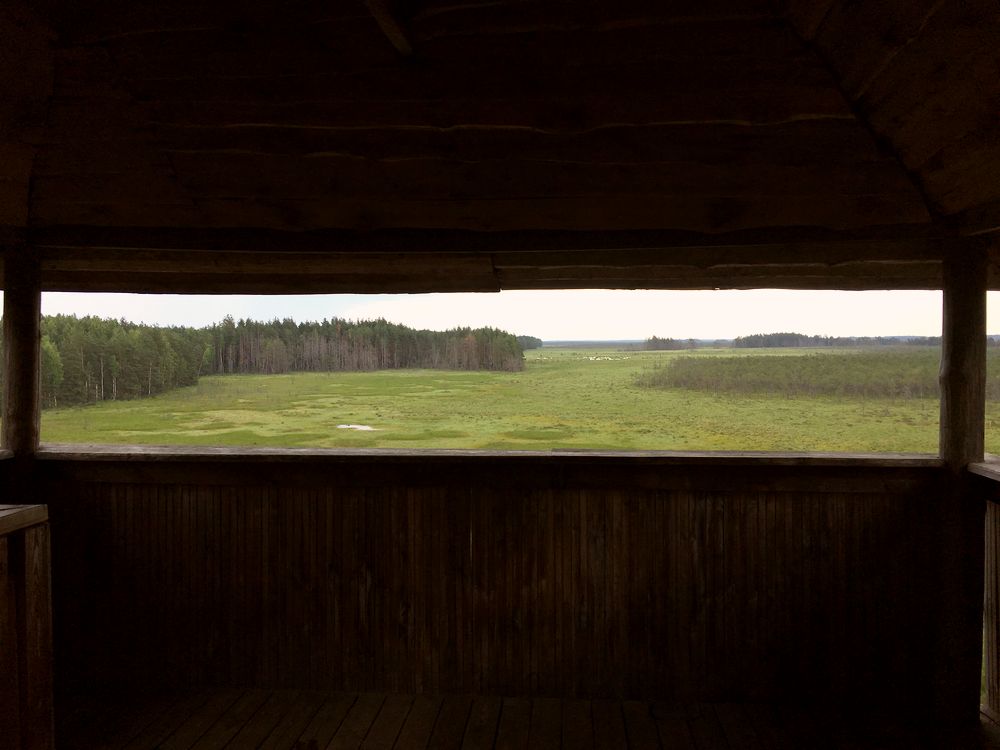 Widok na Bagno Čepkeliai z wieży widokowej, fot. Witold Muchowski Widok na Bagno Čepkeliai z wieży widokowej, fot. Witold Muchowski